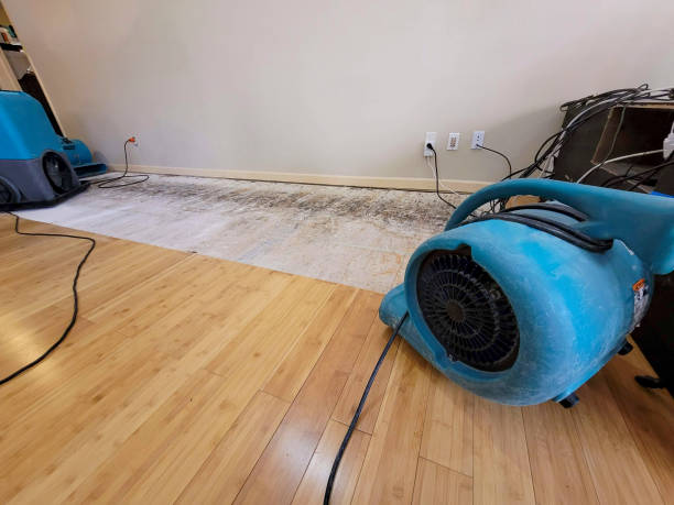 Professional Sewage Cleanup technician working in Brush, CO